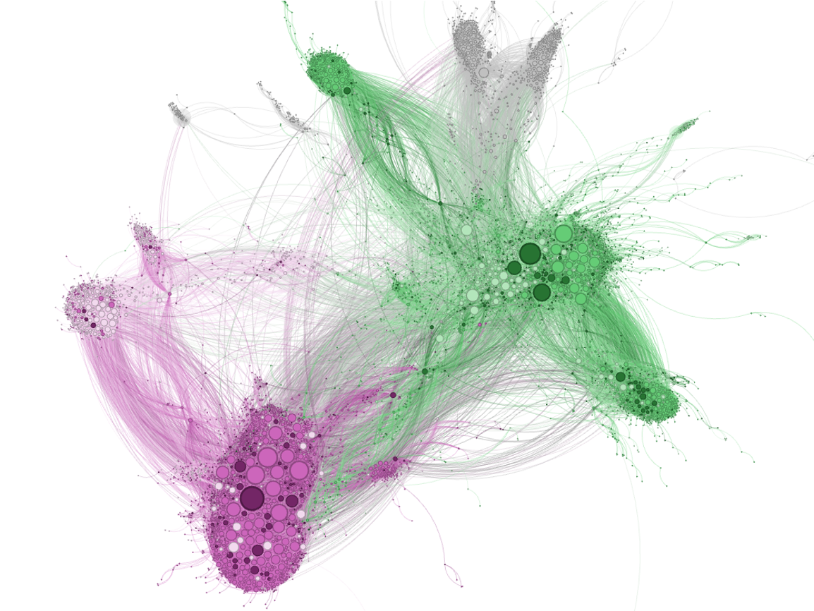 The Role and Influence of Perceived Experts in an Anti-Vaccine Misinformation Community